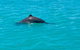 Scenic And Prehistoric Boat Tour - thumb 23