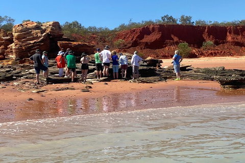 Scenic And Prehistoric Boat Tour - Attractions Sydney 27