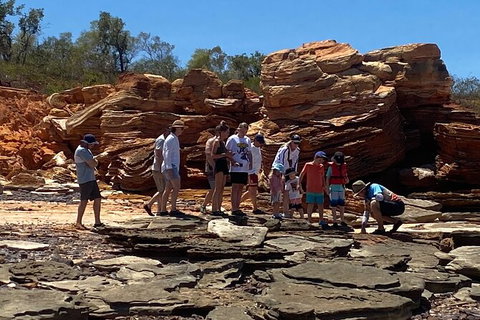 Scenic And Prehistoric Boat Tour - Attractions Sydney 12