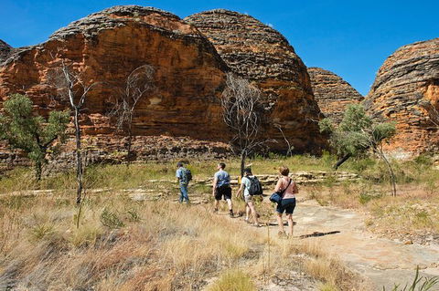 Bungle Bungle Explorer - Attractions Sydney 0