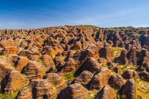 Bungle Bungle Explorer - Attractions Sydney 1