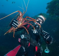 Rottnest Island Deep Dive Day Trips - Attractions Sydney