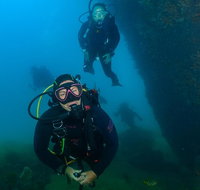 Scuba Dive The Beautiful Rottnest Island - Attractions Sydney