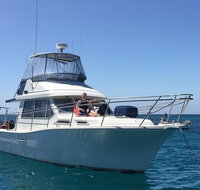 Single Boat Dive - Attractions Sydney