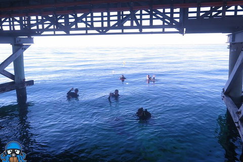 PADI Open Water Course - Attractions Sydney 3
