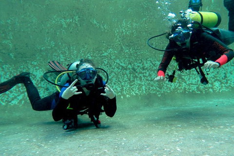 PADI Open Water Course - Attractions Sydney 4