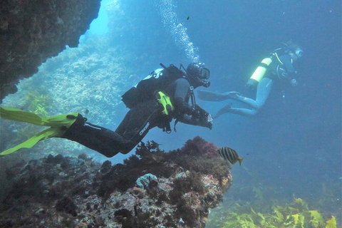 PADI Open Water Course - Attractions Sydney 2