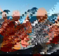 Abrolhos Islands 5 Day Tours - Attractions Sydney