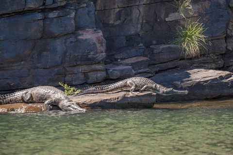 Ord River Discoverer With Sunset - Attractions Sydney 6