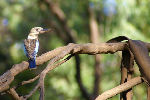 Ord River Experience With Riverside Lunch - Attractions Sydney 1