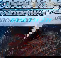 Lobster Fishing Tour at Geraldton - Attractions Sydney