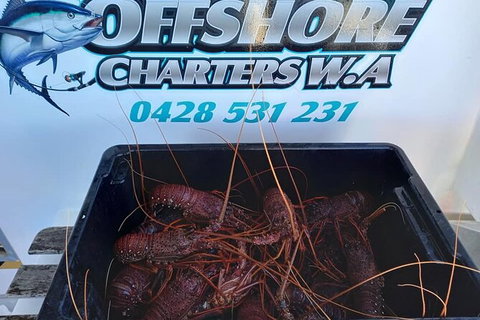 Lobster Fishing Tour At Geraldton - Attractions Sydney 0