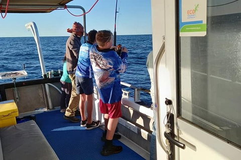 Geraldton Fishing Charter - Attractions Sydney 9