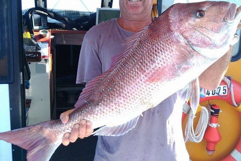 Geraldton Fishing Charter - Attractions Sydney 10