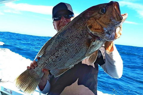 Geraldton Fishing Charter - Attractions Sydney 4