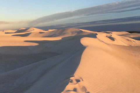 Pinnacles Desert Private Tour - Attractions Sydney 2