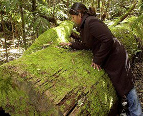  Attractions Sydney