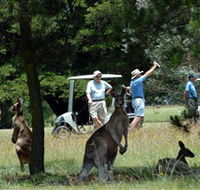 Glen Innes Golf Club - Attractions Sydney