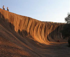 Forrestania WA Attractions Sydney