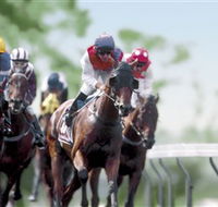 Colac Turf Club - Attractions Sydney