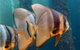 Busselton Jetty & Underwater Observatory Tour - thumb 5