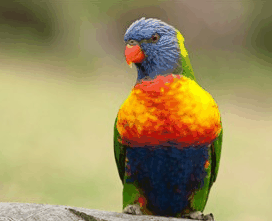 Booderee National Park - Attractions Sydney 1