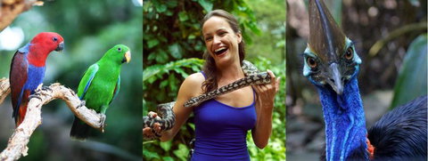 Wildlife Habitat - Attractions Sydney 1