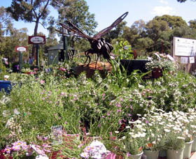 Maida Vale WA Attractions Sydney