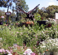 Zanthorrea Nursery - Attractions Sydney