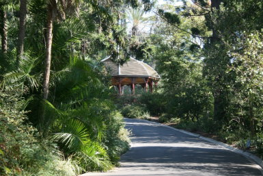 Royal Botanic Gardens Victoria - Attractions Sydney 0