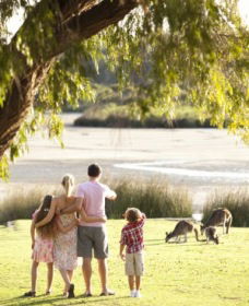 Yanchep National Park - Bushwalking Trails - Attractions Sydney 0