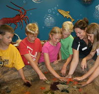 Naturaliste Marine Discovery Centre - Attractions Sydney