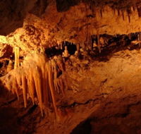 Yanchep National Park - Crystal Cave - Attractions Sydney