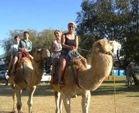 Calamunnda Camel Farm - Attractions Sydney 0