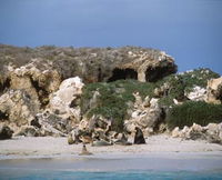 Book Jurien Bay Accommodation Vacations Attractions Sydney Attractions Sydney