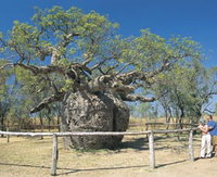 Book Derby Accommodation Vacations Attractions Sydney Attractions Sydney