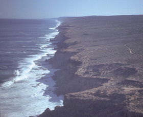 Denham WA Attractions Sydney