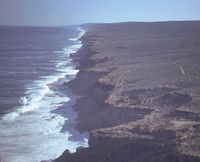 Book Denham Accommodation Vacations Attractions Sydney Attractions Sydney