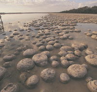 Lake Clifton Thrombolites - Attractions Sydney