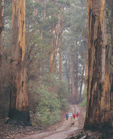 Peerabeelup WA Attractions Sydney