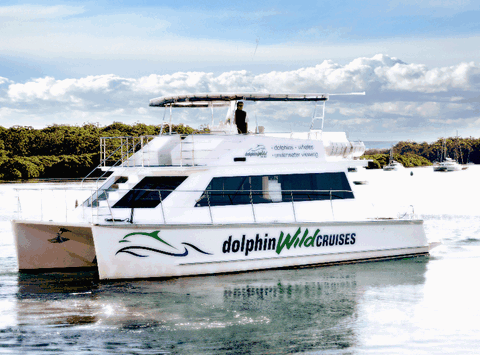 Dolphin Wild Cruises - Attractions Sydney 2