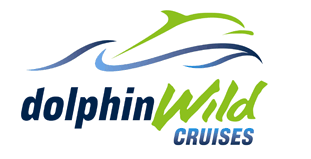 Dolphin Wild Cruises - Attractions Sydney 4