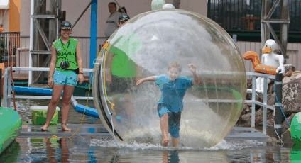 Aussie Waterballs - Attractions Sydney 4