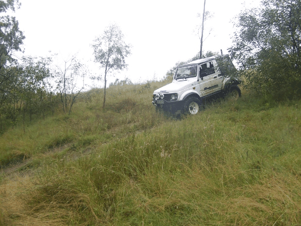 Scenic Rim Adventure Park - Attractions Sydney 1