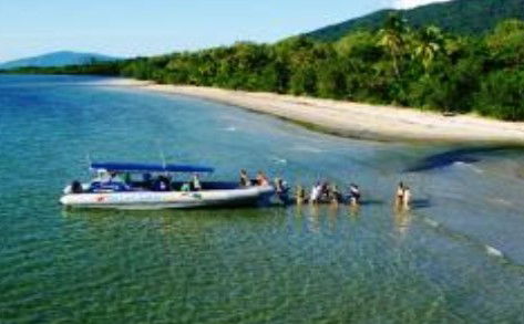 Cape Tribulation QLD Attractions Sydney