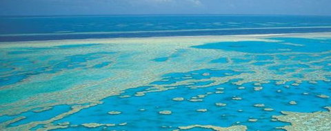 Aristocat Snorkel And Scuba Port Douglas - Attractions Sydney 3