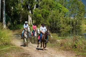Blazing Saddles Adventures - Attractions Sydney 4