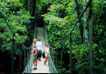 BTS Tours Pty Ltd - Attractions Sydney 4