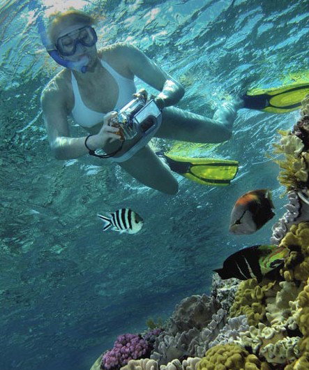 Calypso Reef Charters - Attractions Sydney 0