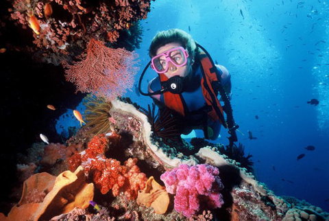 Calypso Reef Charters - Attractions Sydney 2